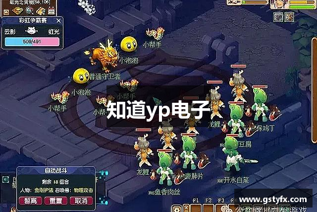 知道yp电子